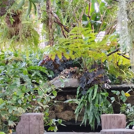 Sareeviengping Hotel Chiangmai Chiang Mai Zewnętrze zdjęcie