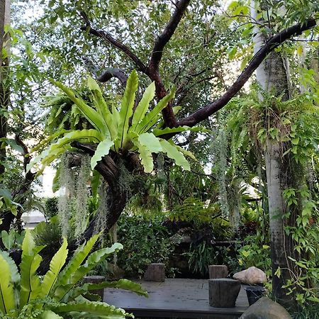 Sareeviengping Hotel Chiangmai Chiang Mai Zewnętrze zdjęcie
