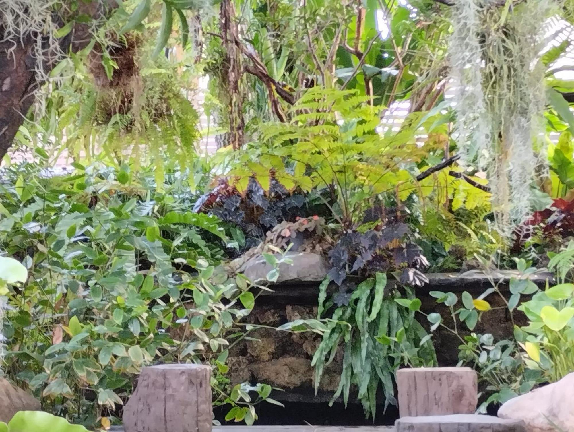 Sareeviengping Hotel Chiangmai Chiang Mai Zewnętrze zdjęcie