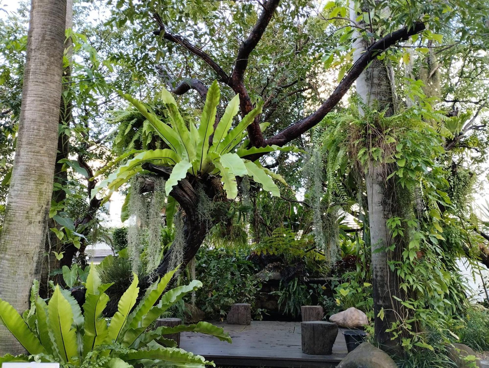 Sareeviengping Hotel Chiangmai Chiang Mai Zewnętrze zdjęcie