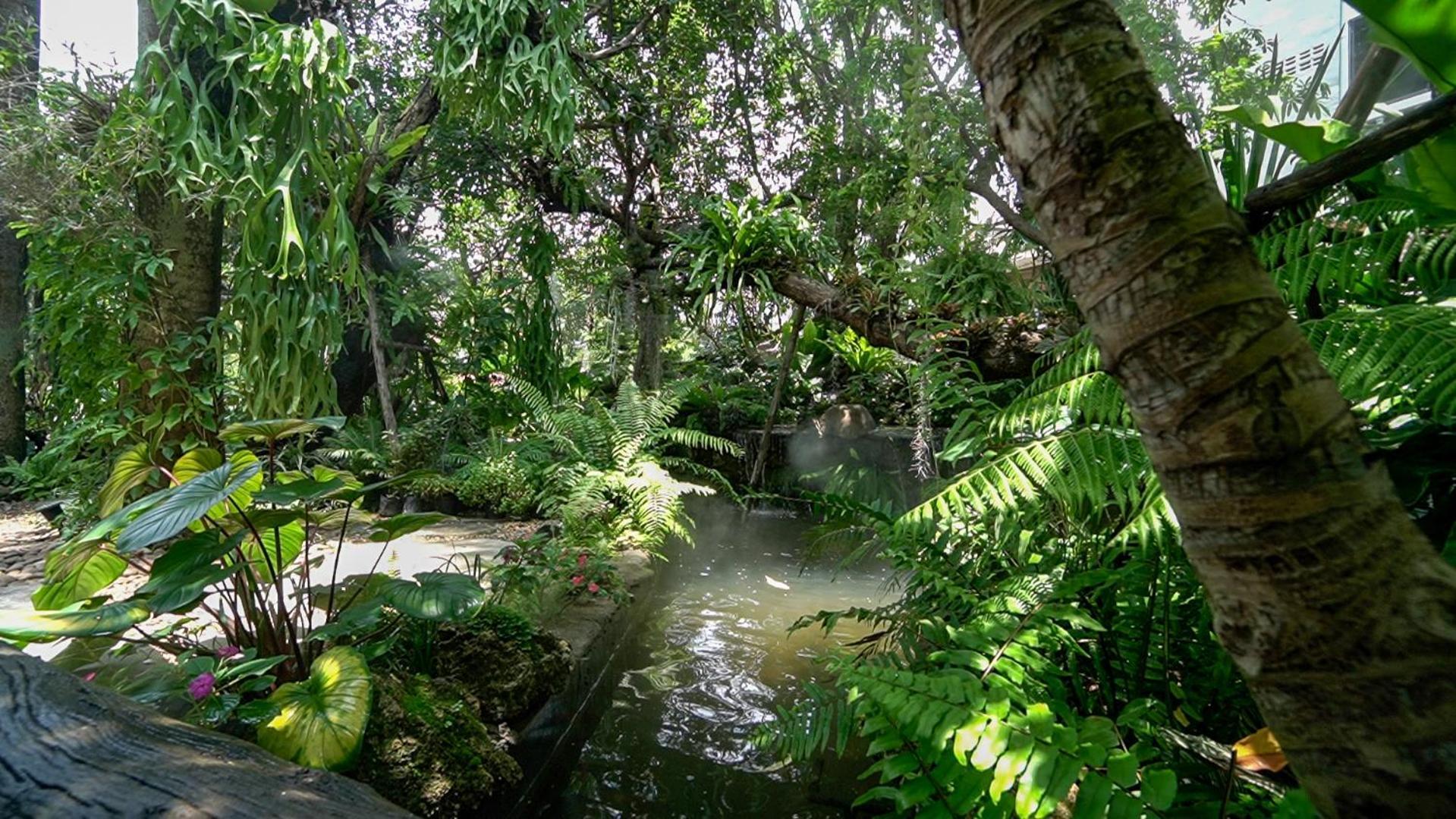 Sareeviengping Hotel Chiangmai Chiang Mai Zewnętrze zdjęcie